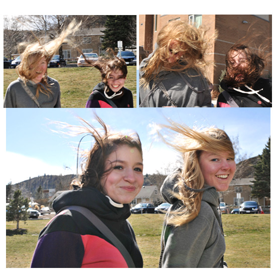 windy_collage