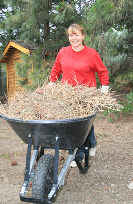 Susan Forseille of TRU Career Education transports a wheelbarrow full of pine needles to a waiting pick-up truck.
