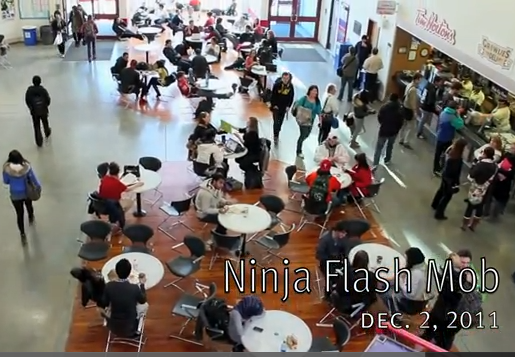 Ninja Flash Mob at TRU