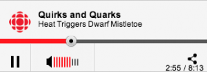 Quirks and Quarks Interview