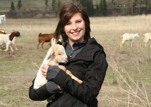Kate Strangway studied whether goats could control invasive weeds like knapweed and thistle, as an alternative to herbicides.