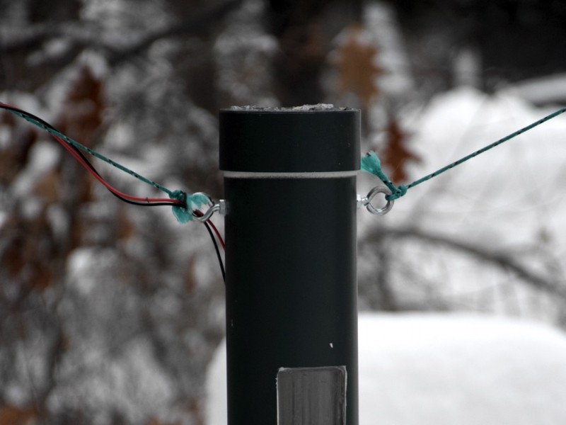 One of many well-attended feeders that can be seen across TRU's Kamloops campus. Here you'll spot a female house finch on the feeder (Carpodacus mexicanus) and a dark-eyed junco (Junco hyemalis) flying in.