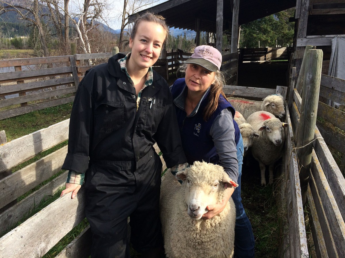 Animal Health Technology student Sarah Milnthorp, left, with Valerie Moilliet-Gerber, president of the BC Sheep Federation, are supporting Dr. Mann with his research.