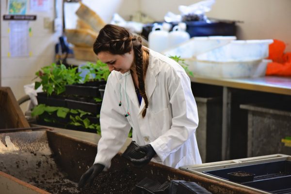 Amelia Galuska working with soil at Agri-Food Canada in Summerland, B.C