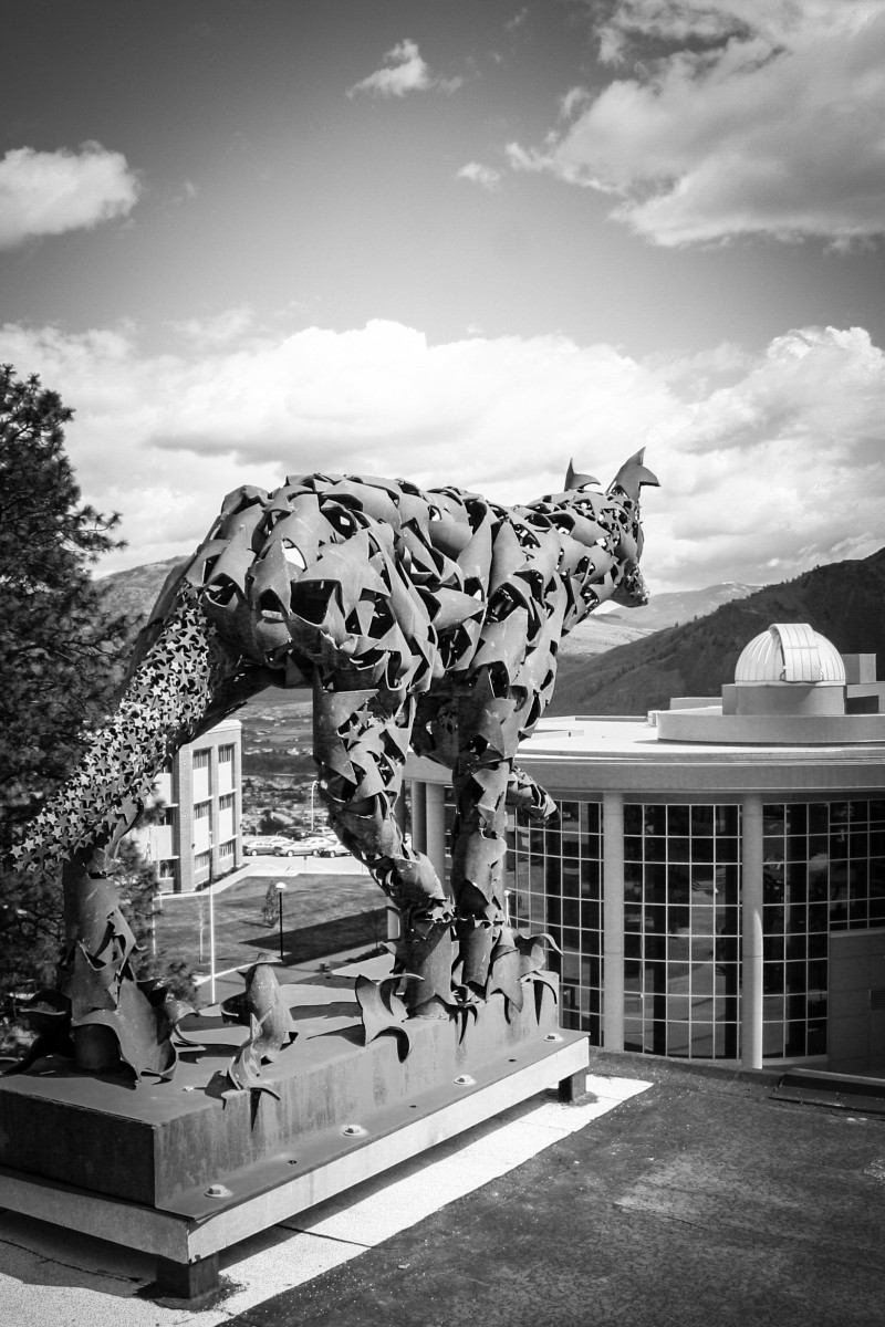 Coyote sculpture