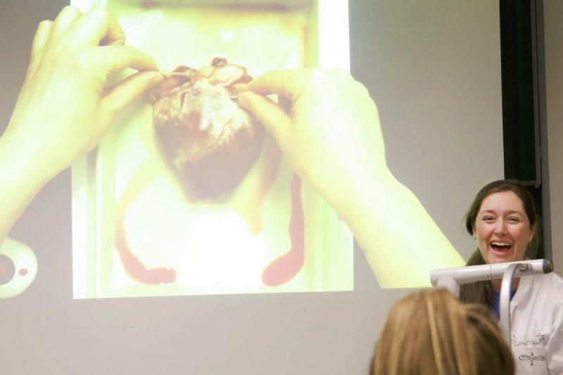 Christine Miller UPrep pig heart dissection