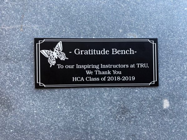 Close up of the gratitude bench