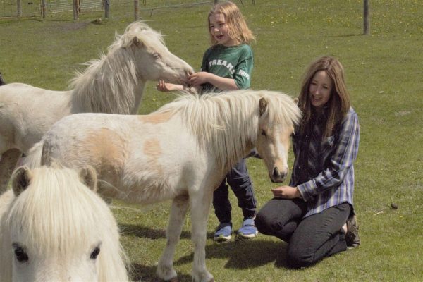 Ethan and Julia Morgan visit a friend's miniature ponies.