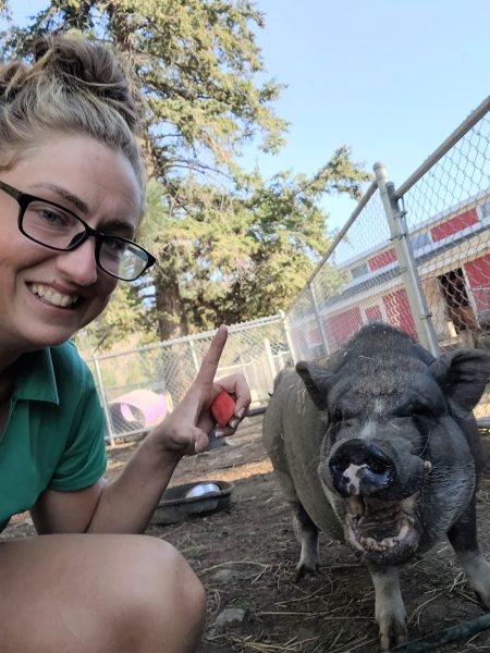 Zookeeper Cecily McLean signals Orson the pot-bellied pig to open his mouth. 
