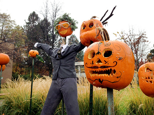 Download Halloween pumpkin patch appears on campus - TRU Newsroom