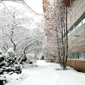 Campus Snow Old Main