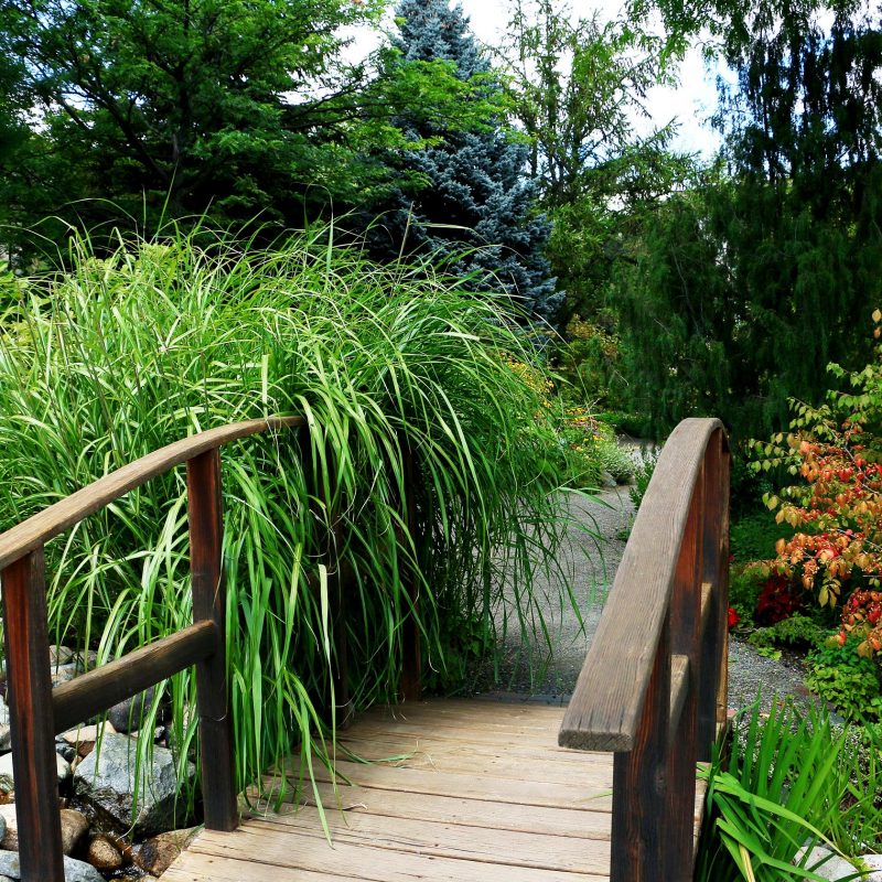 10 “Green” Places to Enjoy in the Kamloops Area this Summer TRU Newsroom