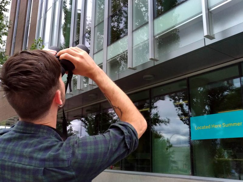 Matthew McIsaac bird research