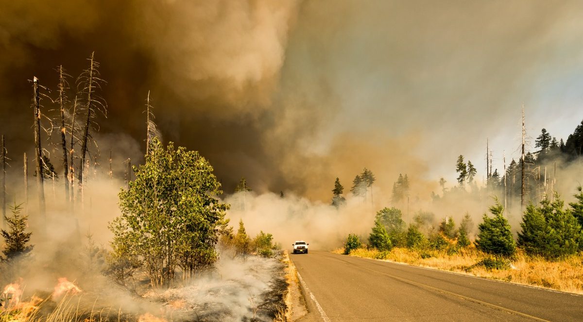 Burning wildfire next to road