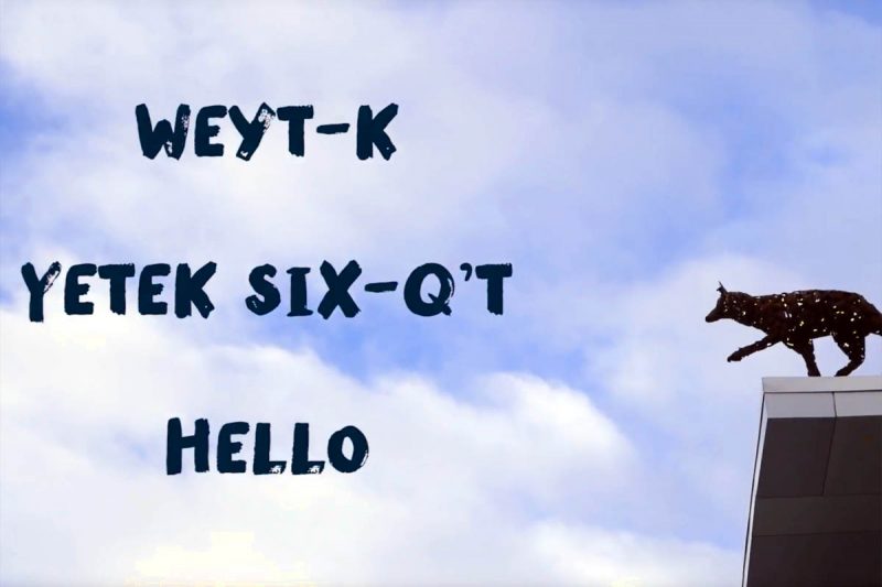 Newsroom —Wyt-k Hello Talk to the Experts