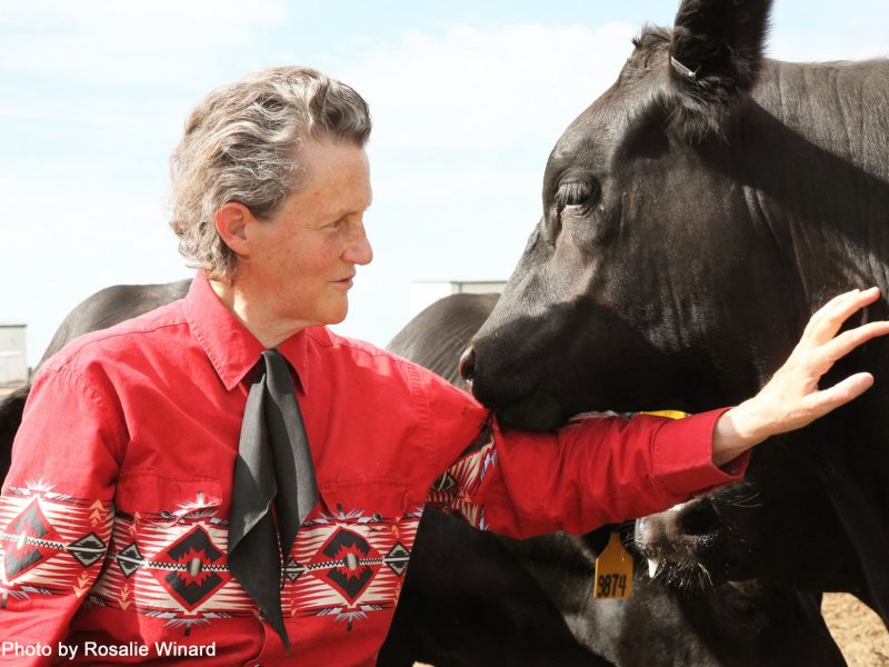 Temple Grandin