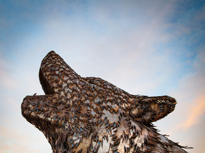 wolf sculpture howling