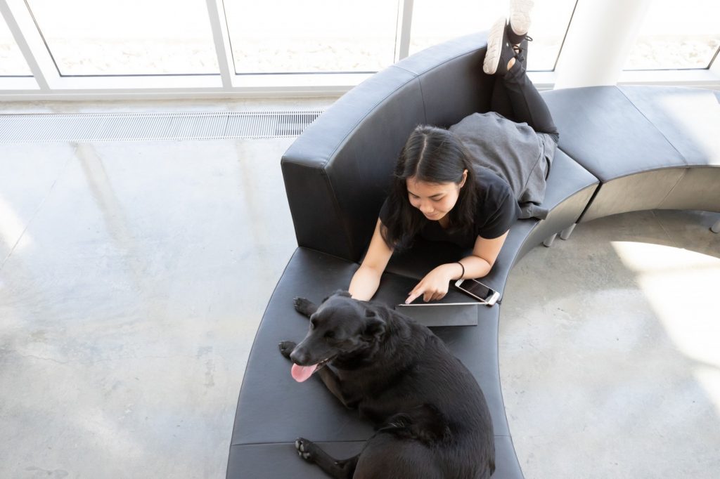 Student studying on a tablet with her dog.