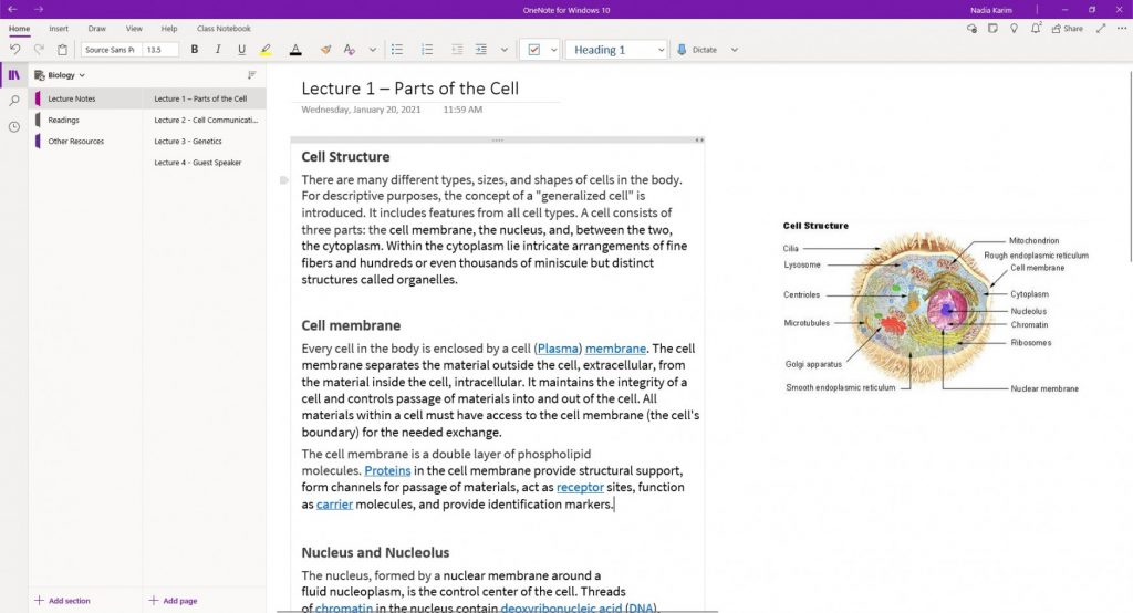 Screenshot depicting what a notebook looks like within the OneNote app.