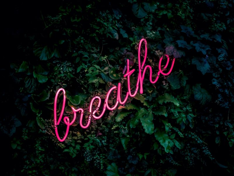 Reset your life with breathwork practices