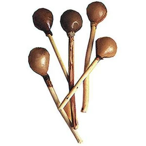 Indigenous Rattle