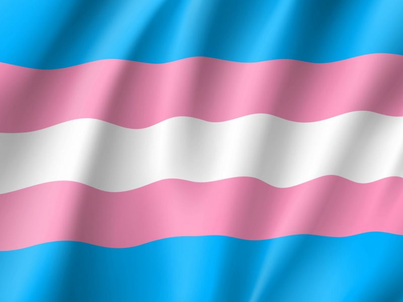Raising the Trans Pride flag at TRU