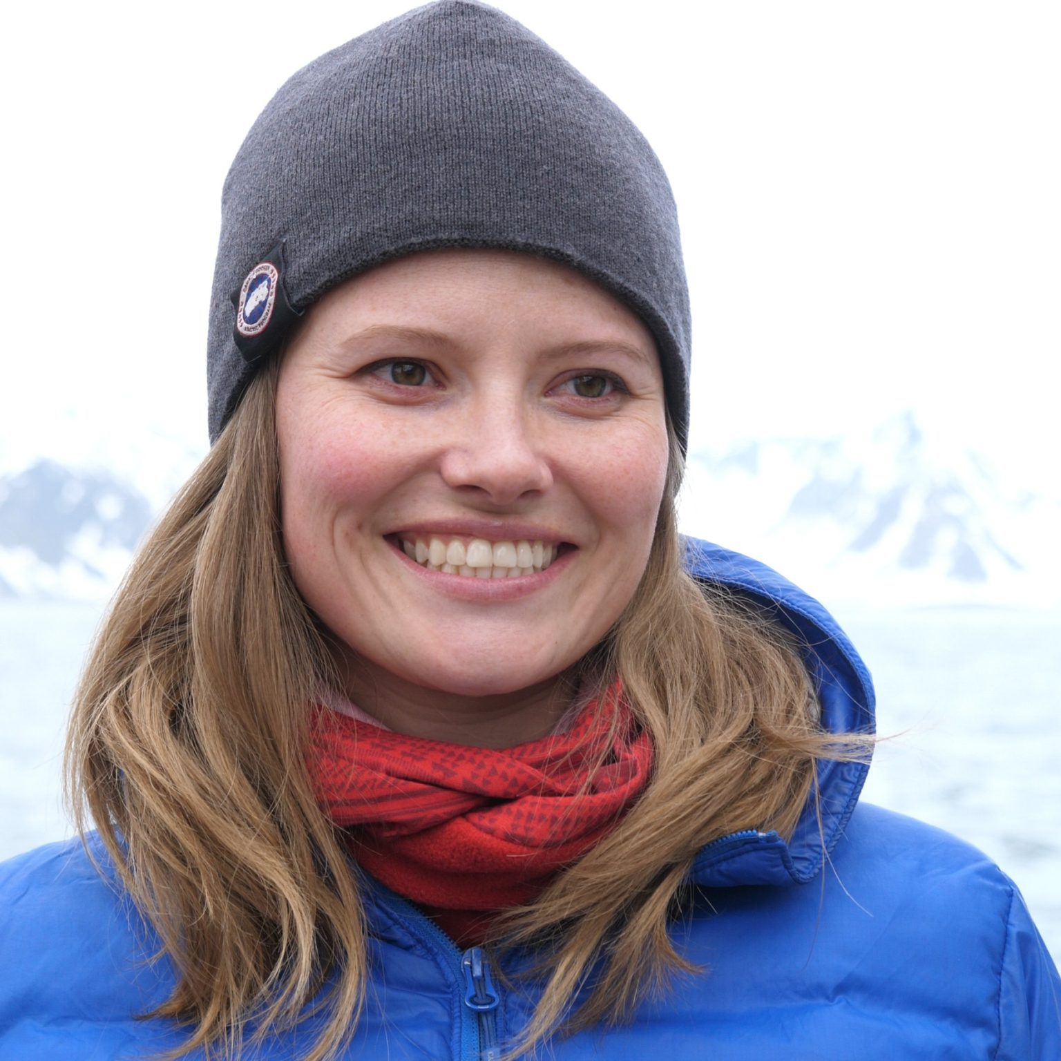 Eye Opening:  The Science Of Polar Bear Survival In A Changing Arctic - jzuv90d
