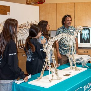 A hands-on intro to animal skeletons at Veterinary Technology.