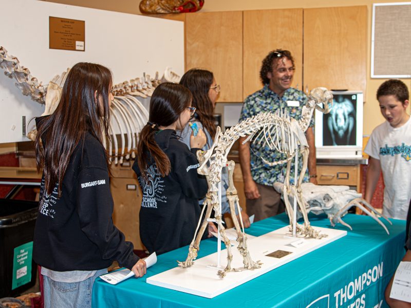 A hands-on intro to animal skeletons at Veterinary Technology.