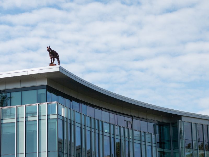 Sk'elép (Coyote) sculpture on the roof of TRU's House of Learning.