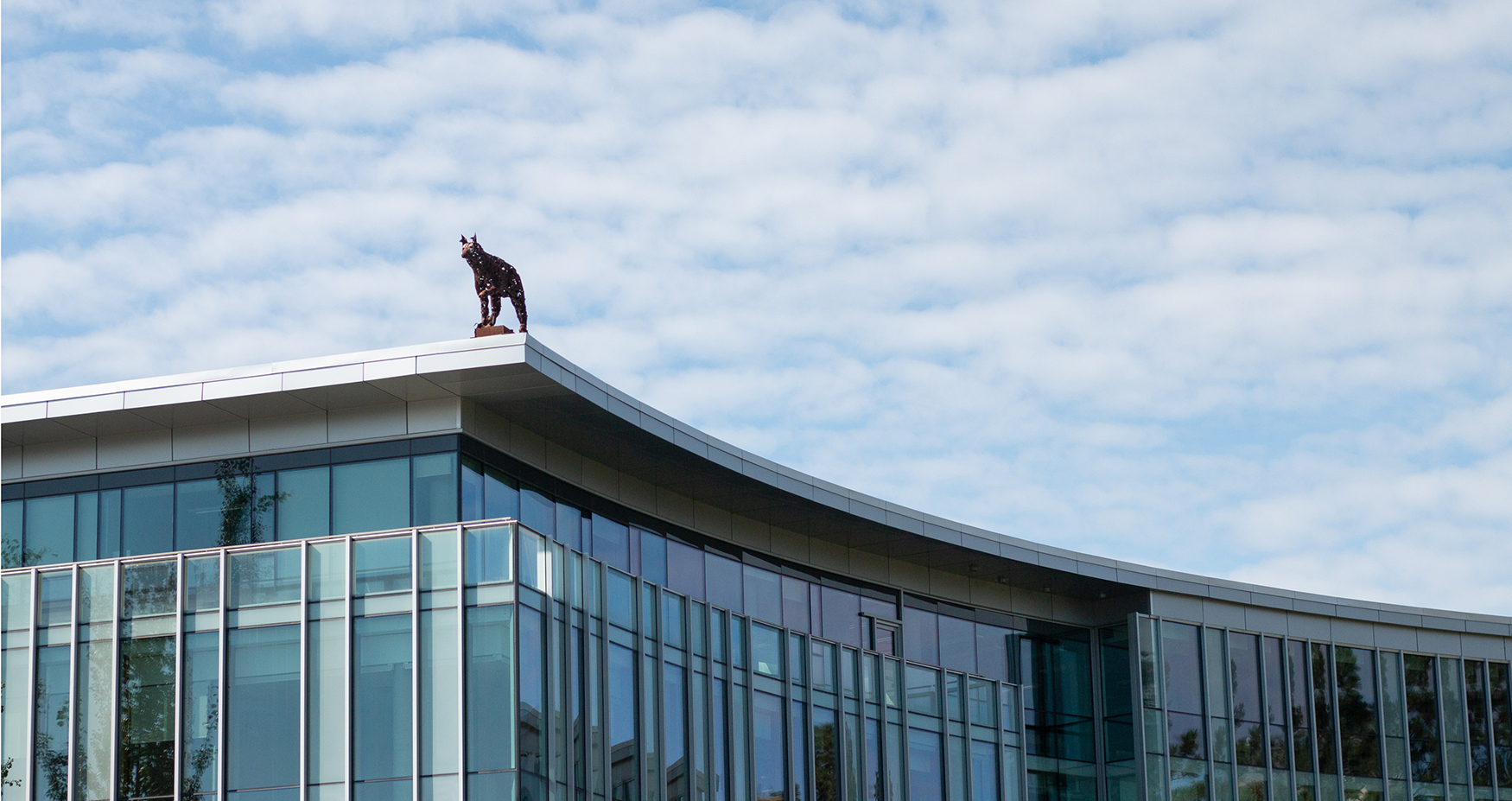 Sk'elép (Coyote) sculpture on the roof of TRU's House of Learning.