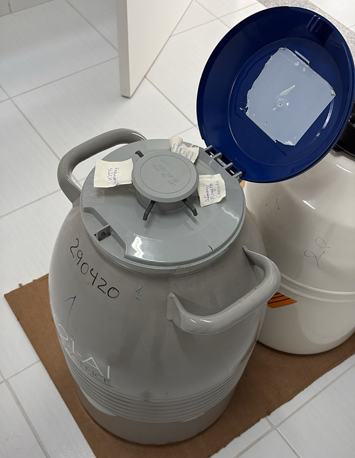 A Beacon of Hope: Securing Your Future in Climate Research Through Scholarships