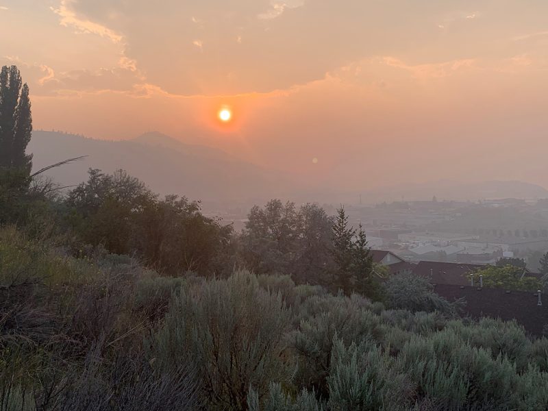 TRU student project explores AI prototype for early wildfire detection