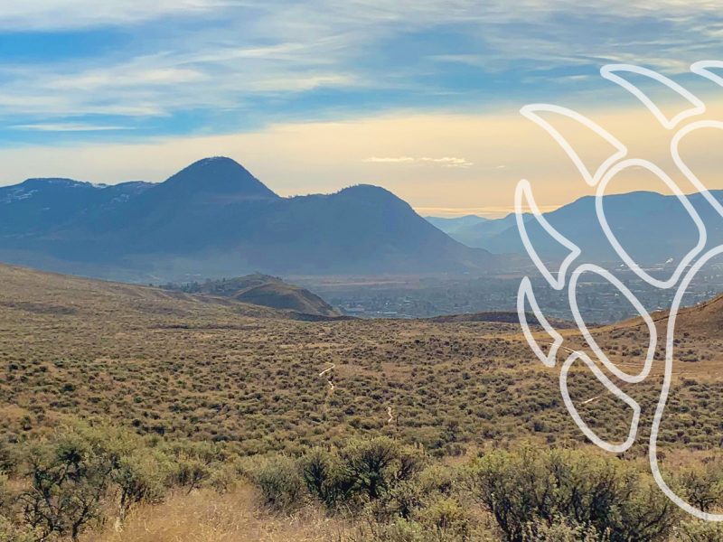 Shape Indigenous health research at TRU